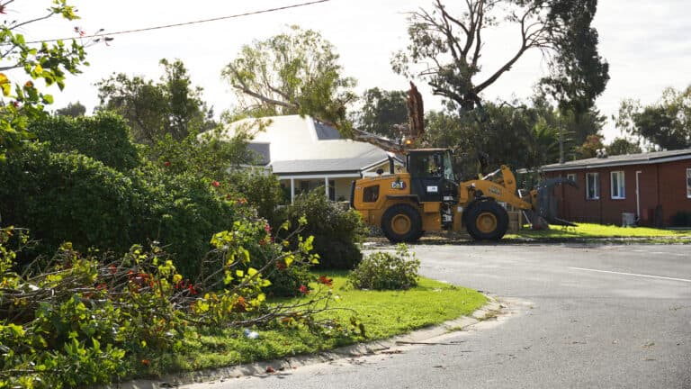 Storm damage in East Bunbury fallen trees ona suburban street.