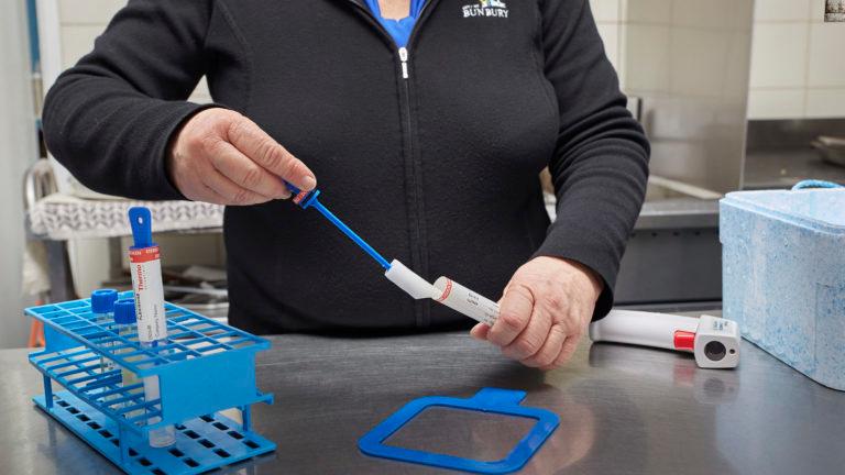 272A0806 edited scaled